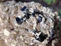 Natural Schorl Black Tourmaline, Smokey Quartz and Feldspar Specimens x 2 From Erongo, Namibia - Toprock Gemstones and Minerals