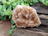 Natural Golden Limonite Quartz Clusters x 24 From Solwezi, Zambia - Toprock Gemstones and Minerals