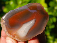 Polished On One Side Red Sashe River Agate Nodules x 12 From Zimbabwe - Toprock Gemstones and Minerals