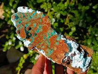 Natural Drusy Coated Chrysocolla with Malachite x 2 From Lupoto Mine, Congo - Toprock Gemstones and Minerals