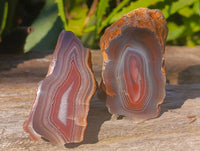 Polished On One Side Red Sashe River Agate Nodules x 12 From Zimbabwe - Toprock Gemstones and Minerals
