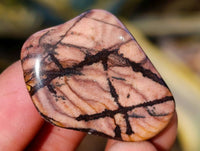 Polished Nguni Jasper Tumble Stones - sold per 1 kg - From Northern Cape, South Africa - Toprock Gemstones and Minerals