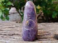 Polished Assortment Of Standing Free Forms x 2 From Madagascar - Toprock Gemstones and Minerals