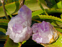 Natural Jacaranda Amethyst Quartz Clusters x 3 From Mumbwa, Zambia - Toprock Gemstones and Minerals