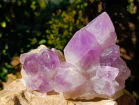 Natural Jacaranda Amethyst Quartz Clusters x 3 From Mumbwa, Zambia - Toprock Gemstones and Minerals