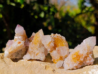 Natural Amethyst Spirit Quartz Crystals x 65 From Boekenhouthoek, South Africa - Toprock Gemstones and Minerals