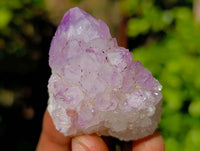 Natural Amethyst Spirit Quartz Crystals x 65 From Boekenhouthoek, South Africa - Toprock Gemstones and Minerals