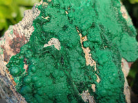 Natural Super Rare Crystalline Malachite on Dolomite Matrix Specimens x 3 From Tenke Fungurume, Congo - Toprock Gemstones and Minerals