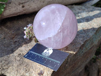 Polished Rose Quartz Sphere x 1 From Madagascar - Toprock Gemstones and Minerals