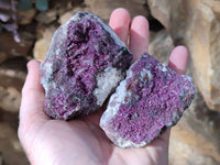 Natural Deep Pink and Purple Drusy Salrose Cobaltion Dolomite Specimens x 4 From Congo - Toprock Gemstones and Minerals