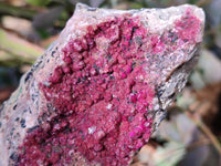Natural Deep Pink and Purple Drusy Salrose Cobaltion Dolomite Specimens x 4 From Congo - Toprock Gemstones and Minerals