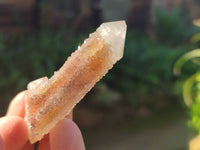 Natural Golden Limonite Coated Spirit Quartz Clusters x 35 From Boekenhouthoek, South Africa - Toprock Gemstones and Minerals