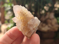 Natural Golden Limonite Coated Spirit Quartz Clusters x 35 From Boekenhouthoek, South Africa - Toprock Gemstones and Minerals
