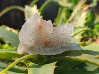 Natural Golden Limonite Coated Spirit Quartz Clusters x 35 From Boekenhouthoek, South Africa - Toprock Gemstones and Minerals
