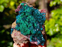 Natural Dioptase On Dolomite with Malachite Specimens x 6 From Likasi, Congo - Toprock Gemstones and Minerals