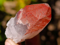 Natural Multi Mineral Specimens x 2.99 Kg Lot From Southern Africa - Toprock Gemstones and Minerals
