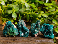 Natural Dioptase On Dolomite with Malachite Specimens x 12 From Likasi, Congo - Toprock Gemstones and Minerals