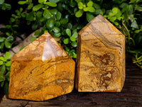 Polished Picture Stone Jasper Points x 2 From Ais-Ais, Namibia - Toprock Gemstones and Minerals