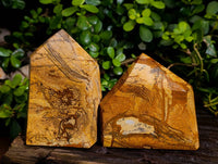 Polished Picture Stone Jasper Points x 2 From Ais-Ais, Namibia - Toprock Gemstones and Minerals