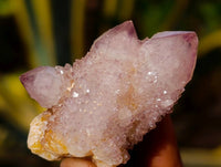 Natural Amethyst Spirit Quartz Clusters x 12 From Boekenhouthoek, South Africa - Toprock Gemstones and Minerals