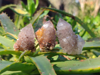 Natural Amethyst Spirit Quartz Clusters x 35 From Boekenhouthoek, South Africa - Toprock Gemstones and Minerals