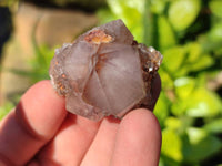 Natural Amethyst Spirit Quartz Clusters x 35 From Boekenhouthoek, South Africa - Toprock Gemstones and Minerals