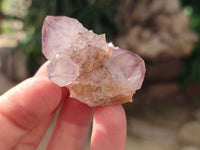 Natural Amethyst Spirit Quartz Clusters x 35 From Boekenhouthoek, South Africa - Toprock Gemstones and Minerals