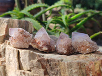 Natural Amethyst Spirit Quartz Clusters x 35 From Boekenhouthoek, South Africa - Toprock Gemstones and Minerals