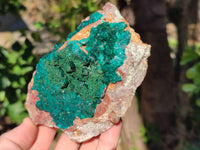 Natural Dioptase Crystals with Malachite on Dolomite Matrix Specimens x 2 From Likasi, Congo - Toprock Gemstones and Minerals