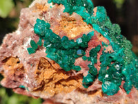 Natural Dioptase Crystals with Malachite on Dolomite Matrix Specimens x 2 From Likasi, Congo - Toprock Gemstones and Minerals