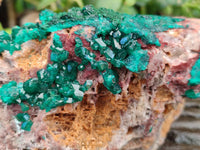 Natural Dioptase Crystals with Malachite on Dolomite Matrix Specimens x 2 From Likasi, Congo - Toprock Gemstones and Minerals