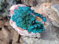 Natural Dioptase Crystals with Malachite on Dolomite Matrix Specimens x 2 From Likasi, Congo - Toprock Gemstones and Minerals