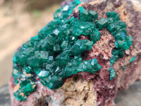 Natural Dioptase Crystals with Malachite on Dolomite Matrix Specimens x 2 From Likasi, Congo - Toprock Gemstones and Minerals
