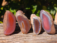 Polished On One Side Red Sashe River Agate Nodules x 20 From Zimbabwe - Toprock Gemstones and Minerals