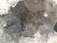 Natural Blue Celestite Crystal Specimens x 1 From Sakoany, Madagascar - Toprock Gemstones and Minerals