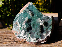 Natural Ball Malachite On Dolomite Matrix Specimen x 1 From Kambove, Congo - Toprock Gemstones and Minerals