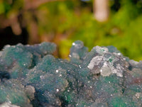 Natural Ball Malachite On Dolomite Matrix Specimen x 1 From Kambove, Congo - Toprock Gemstones and Minerals