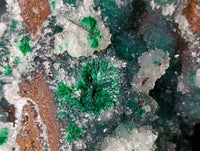 Natural Ball Malachite On Dolomite Matrix Specimen x 1 From Kambove, Congo - Toprock Gemstones and Minerals