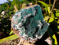 Natural Ball Malachite On Dolomite Matrix Specimen x 1 From Kambove, Congo - Toprock Gemstones and Minerals