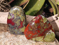 Polished Bastite Dragon Bloodstone Standing Free Forms x 2 From South Africa - Toprock Gemstones and Minerals