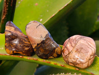 Polished Mixed Assortment Of Tumbled Stones x 2.7 Kg Lot From Southern Africa - Toprock Gemstones and Minerals
