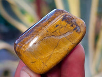 Polished Mixed Assortment Of Tumbled Stones x 2.7 Kg Lot From Southern Africa - Toprock Gemstones and Minerals