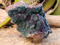 Natural Ball Malachite On Dolomite Matrix Specimen x 1 From Likasi, Congo - Toprock Gemstones and Minerals