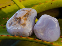 Polished Blue Lace Agate Tumbled Stones x 20 From Malawi - Toprock Gemstones and Minerals