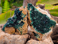 Natural Ball Malachite On Red Dolomite Matrix Specimens x 6 From Likasi, Congo - Toprock Gemstones and Minerals