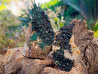 Natural Ball Malachite On Red Dolomite Matrix Specimens x 6 From Likasi, Congo - Toprock Gemstones and Minerals