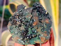 Natural Ball Malachite On Red Dolomite Matrix Specimens x 6 From Likasi, Congo - Toprock Gemstones and Minerals