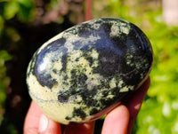 Polished Leopard Stone Free Forms x 12 From Zimbabwe - Toprock Gemstones and Minerals