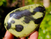 Polished Leopard Stone Free Forms x 12 From Zimbabwe - Toprock Gemstones and Minerals