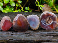 Polished Red Sashe River Agate Nodules x 20 From Sashe River, Zimbabwe - Toprock Gemstones and Minerals
